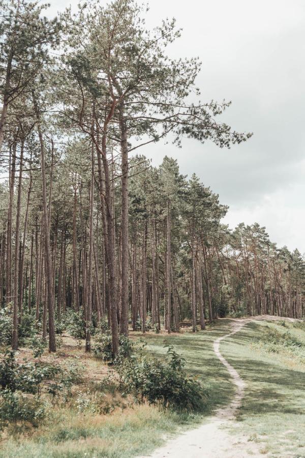 Noyr. Tiny House Villa Nunspeet Bagian luar foto
